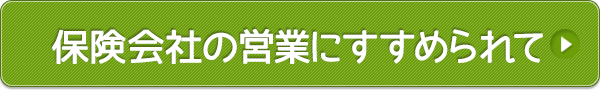 保険会社の営業にすすめられて